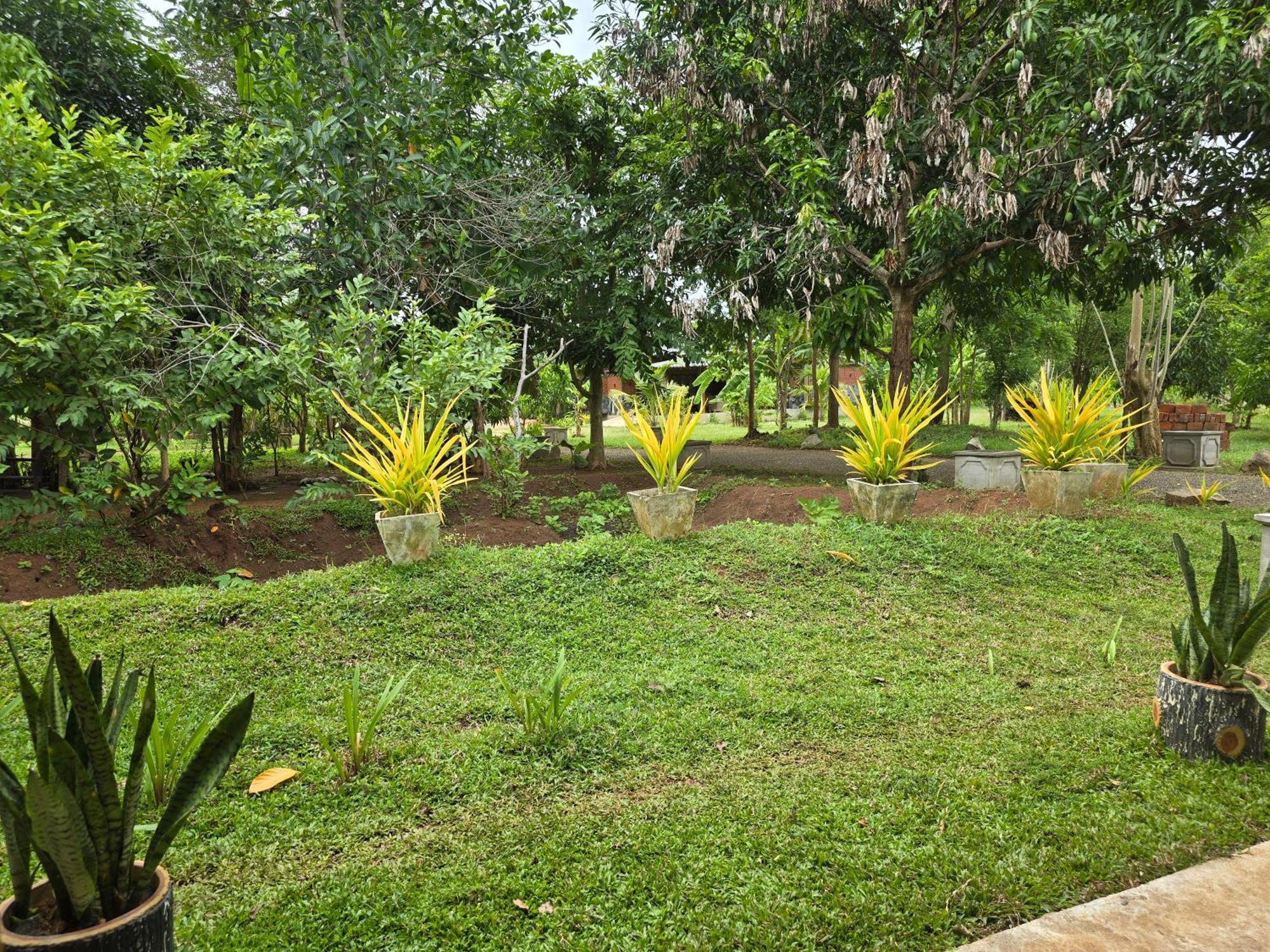 Ceylon Resort Wilpattu Exteriér fotografie