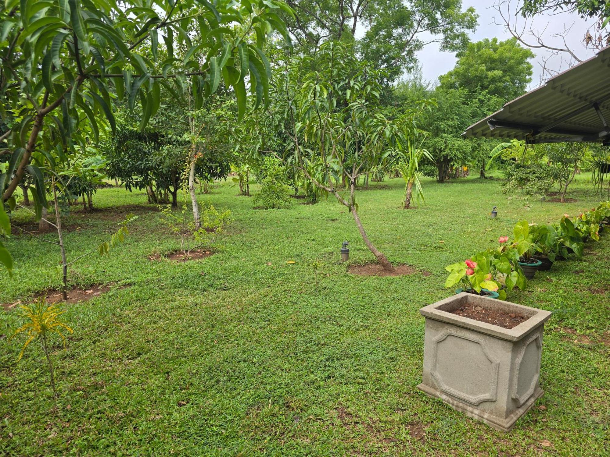 Ceylon Resort Wilpattu Exteriér fotografie